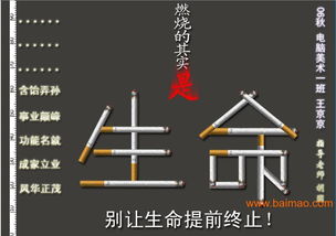 瀏陽市平面設(shè)計(jì)與軟件開發(fā) 融合創(chuàng)意與科技，打造品牌新動力