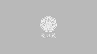 平面設(shè)計(jì)的視覺語(yǔ)言 從核心圖形到樣機(jī)展示的魅力呈現(xiàn)